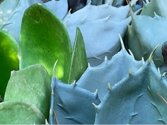 Lovely Pair Of Outdoor Garden Planters
