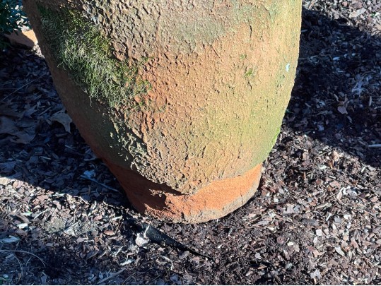 Terracotta And Iron Planters