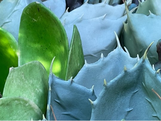 Lovely Pair Of Outdoor Garden Planters