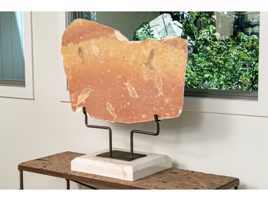 Extraordinary Fossil On An Iron And Marble Stand