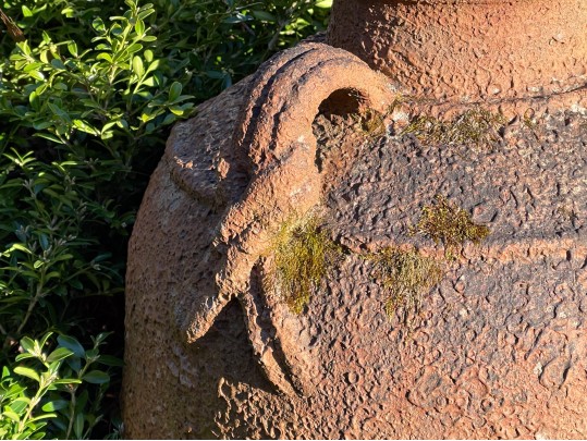 Terracotta And Iron Planters