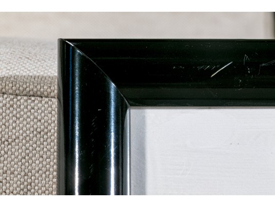 Autographed Vince Carter, Toronto Raptors Memorabilia