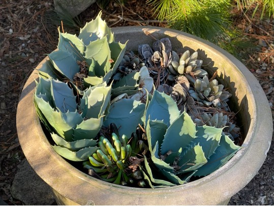 Lovely Pair Of Outdoor Garden Planters