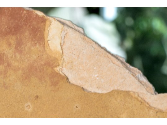 Extraordinary Fossil On An Iron And Marble Stand