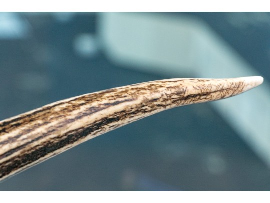 Two Fine Vintage Cigar/Cigarillo Cutters With Pfeilring Solingen