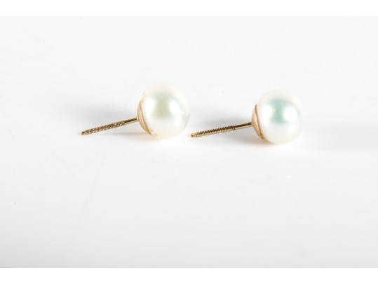 14k Yellow Gold Cultured Pearl Stud Earrings