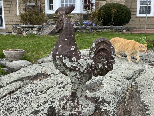 Large Vintage Cast Iron Rooster