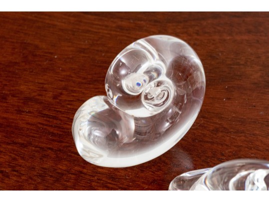 Tiffany & Steuben Glass