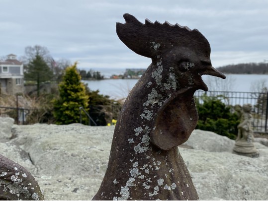 Large Vintage Cast Iron Rooster
