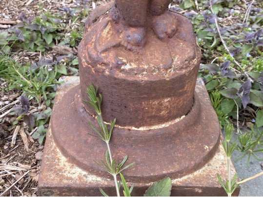 Vintage Cast Iron Bird Bath