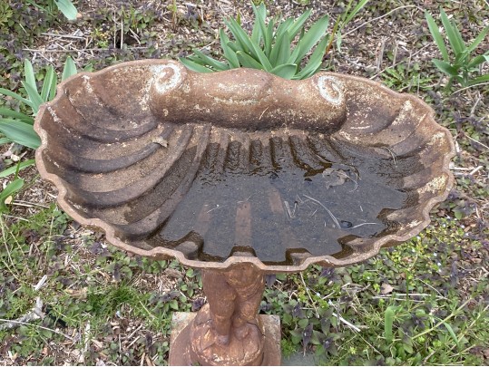 Vintage Cast Iron Bird Bath