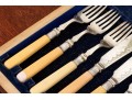 Antique Cased Fish Service