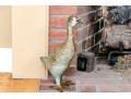 Cast Iron Bronze Finished Standing Duck