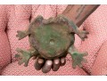 Vintage Vase Iron Garden Frog