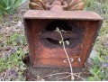 Vintage Cast Iron Bird Bath