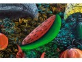 Colorful Caribin Oil On Canvas Of Birds