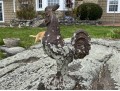 Large Vintage Cast Iron Rooster