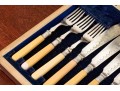 Antique Cased Fish Service