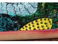Colorful Caribin Oil On Canvas Of Birds