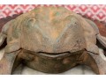 Vintage Vase Iron Garden Frog