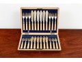 Antique Cased Fish Service