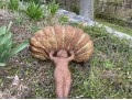 Vintage Cast Iron Bird Bath