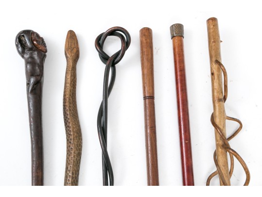 Lot Of Six Assorted Canes, Including Vine Compositions And Snake Motifs