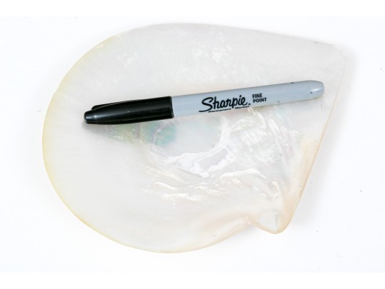 Mother Of Pearl Caviar Plate With Two Sterling Handled Knives