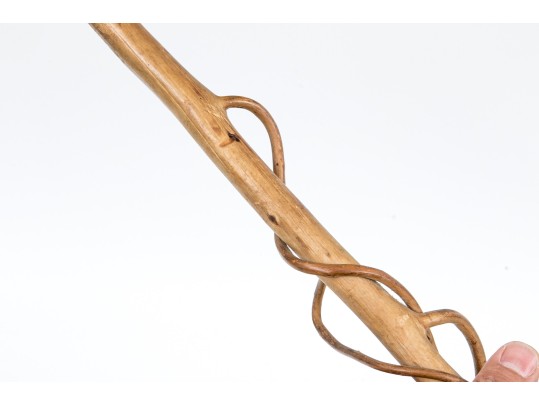 Lot Of Six Assorted Canes, Including Vine Compositions And Snake Motifs