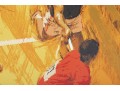 Collection Of 4 Limited Edition Prints On Paper, Unframed