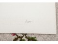 Collection Of 4 Limited Edition Prints On Paper, Unframed