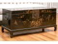 Chinese Black Lacquered Chest On Stand