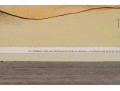 After R.C. Gorman (Am., 1932-2005) Signed Print After A Color Lithograph, 