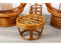 Mid-Century Palm Springs Rattan Garden Classics Swivel Chair Patio Set