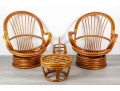 Mid-Century Palm Springs Rattan Garden Classics Swivel Chair Patio Set