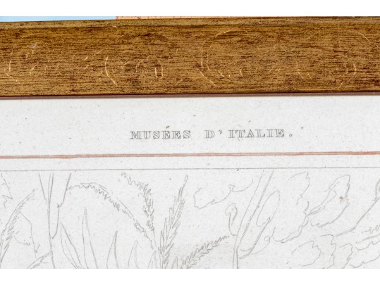 Collection Of Antique Prints