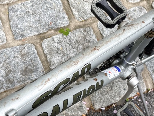 Raleigh SC 40 Mens Bike