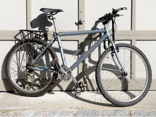 Raleigh SC 40 Mens Bike