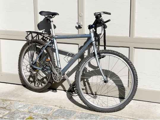 Raleigh SC 40 Mens Bike