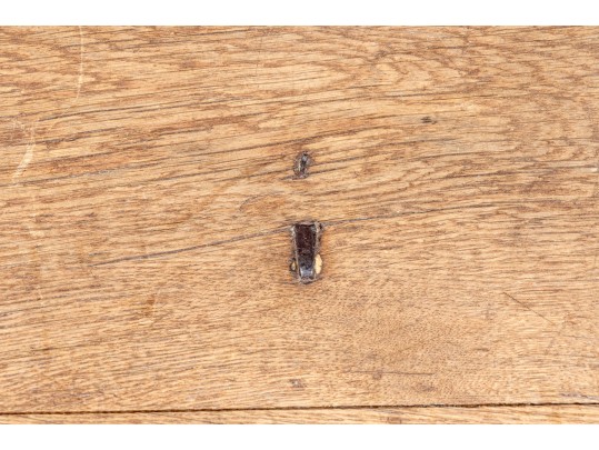 Handsome Antique Storage Chest