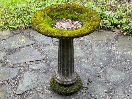 Cast Cement Bird Bath
