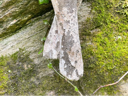 Cast Cement Garden Sculpture