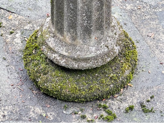 Cast Cement Bird Bath