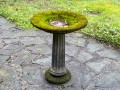 Cast Cement Bird Bath