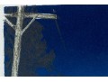Limited Edition Lithograph, Landscape At Night