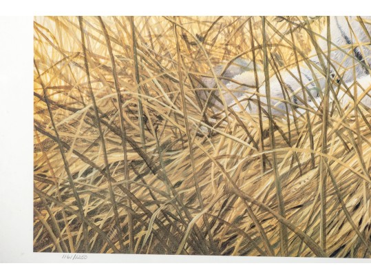 John Seerey-Lester (1945 - 2020) 