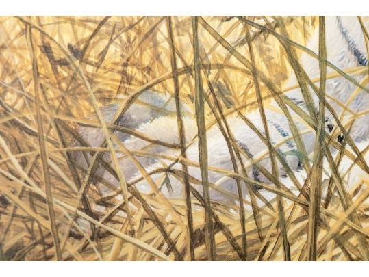 John Seerey-Lester (1945 - 2020) 