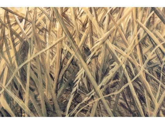 John Seerey-Lester (1945 - 2020) 