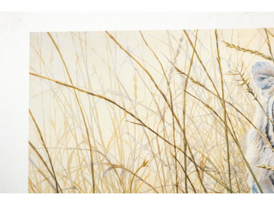 John Seerey-Lester (1945 - 2020) 