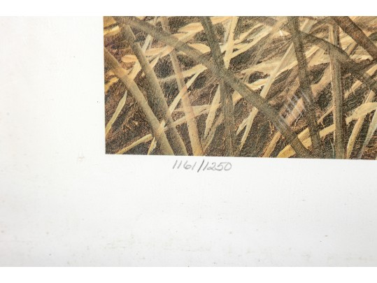 John Seerey-Lester (1945 - 2020) 